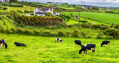 Animal health 'to suffer' without NI protocol changes